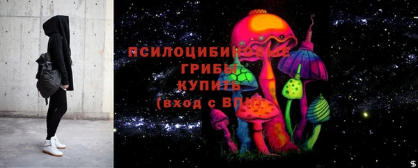 spice Надым