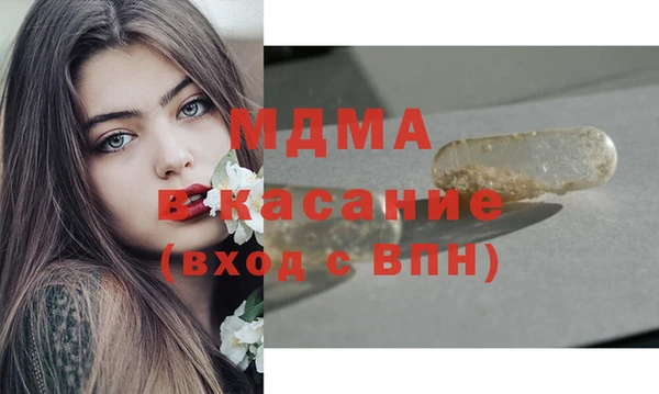 сатива Великий Новгород